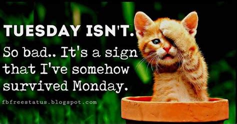 Jul 15, 2019 · not to worry though, we've rounded up a full selection of funny and happy tuesday memes to get you through this particularly awkward day and on to conquering the rest of the week. Pin on Humor