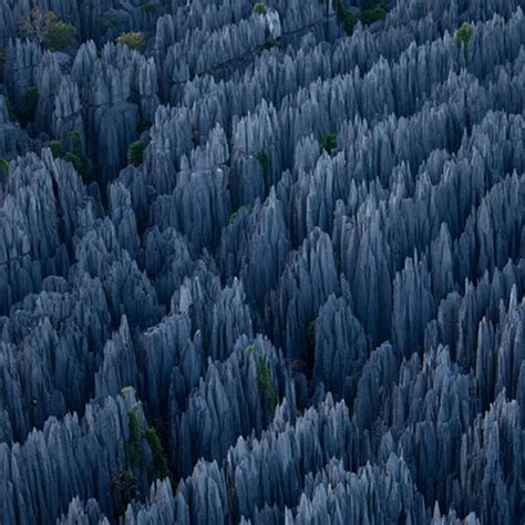 This 666 square kilometer region has been classified as a unesco world heritage site in 1990 because of its unique, breathtaking geography, preserved mangrove forests, and wild bird and lemur populations. Tsingy: The Stone Forest of Madagascar | Amusing Planet