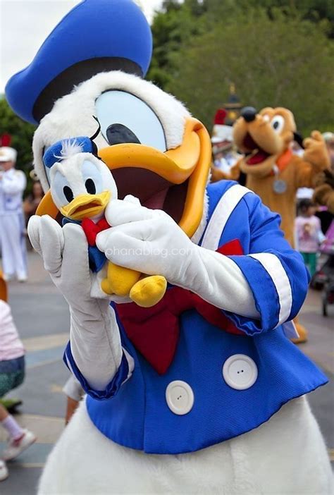 Donald Duck And Mini Donald Duck Disney Figuren Disneyland Disney
