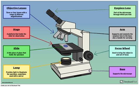 Labeled Image Of Microscope