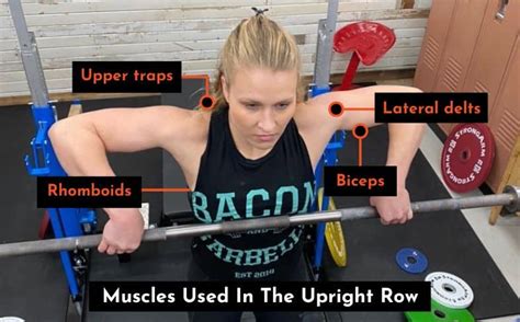 9 Best Upright Row Alternatives How To Videos And Tips
