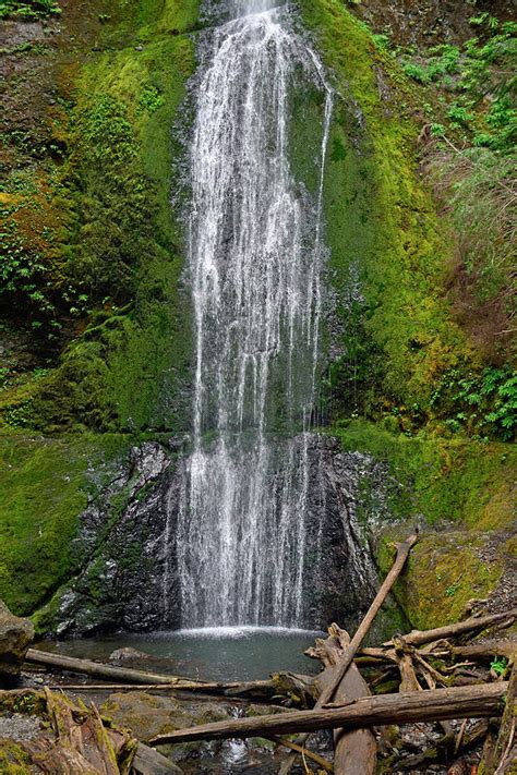 Marymere Falls Olympic National Park Photograph By Bruce Gourley Fine