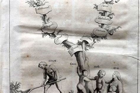 Calmet 1732 Folio Print Genealogical Tree Of Adam And Eve S Descendants