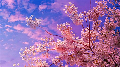 3840x2160 Cherry Blossom Tree 4k 5k 4k Hd 4k Wallpapersimages