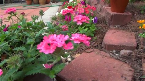 My Backyard Flowers Summer 2012 Youtube