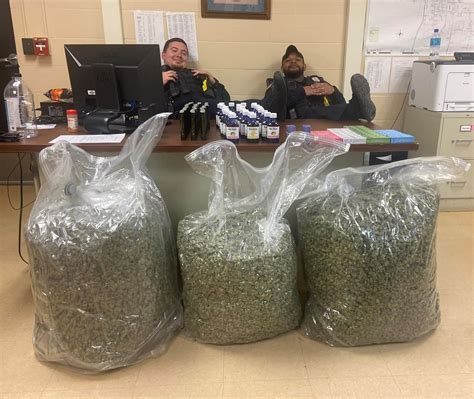 Motorist was transporting 82 pounds of bagged pot: police