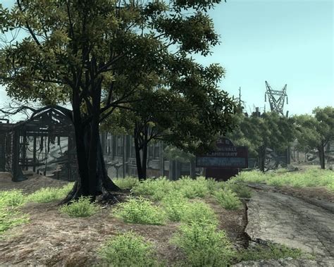 Fallout 3 Greenworld — модификация для Fallout 3 — Моды