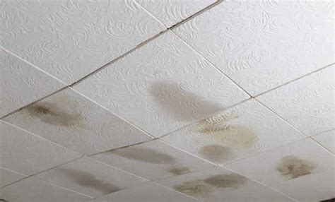 How To Replace Ceiling Tiles In A Drop