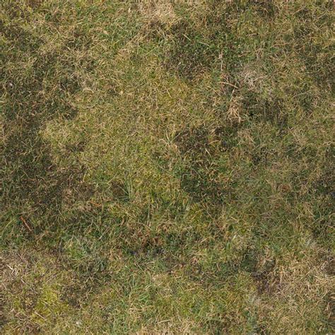 Find the perfect earth grass soil background texture stock photo. Texture Other grass wild Tileable