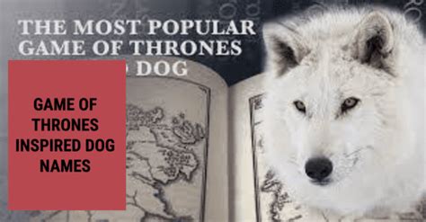 250 Game Of Thrones Inspired Dog Names Beaconpet