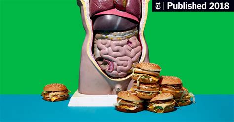 ¿por Qué No Hemos Vencido A La Gordura The New York Times