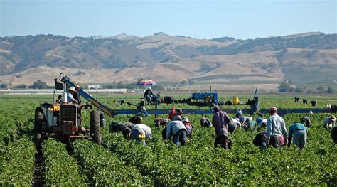 National Agricultural Workers Survey Us Department Of Labor