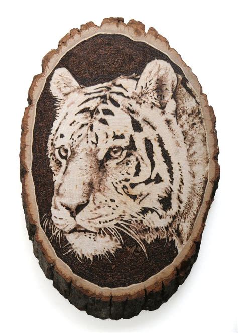 Tiger Pyrography By Lost On Deviantart