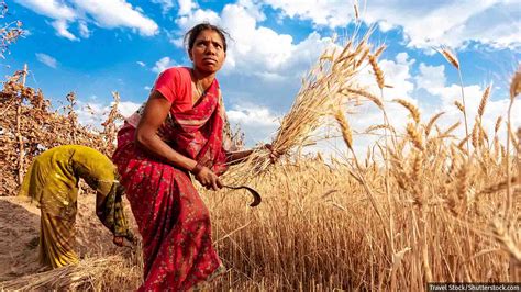 Why Women Farmers Are Losing Jobs Earnings Savings Even As