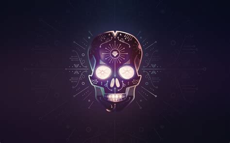 Calaveras Wallpapers 52 Images