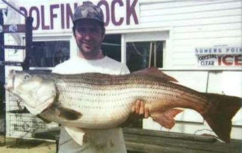 The Biggest Freshwater Fish Ever Caught In Nj