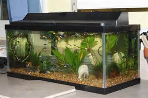20 gallon fish tank lid Aquariums & Tanks:20 gallon fish tank 72jin 