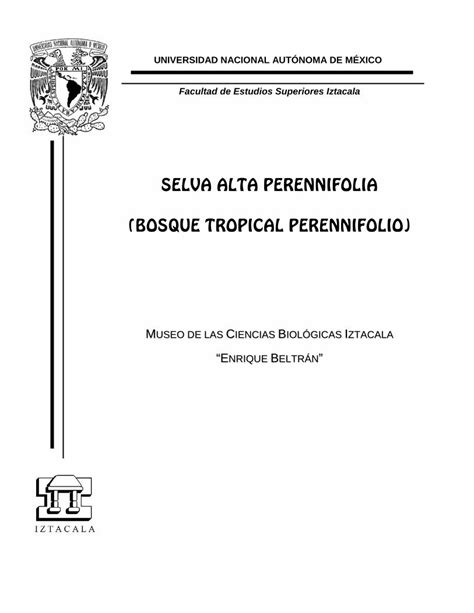 Pdf Selva Alta Perennifolia Iztacalaunammx Pdf Portalselv · 3