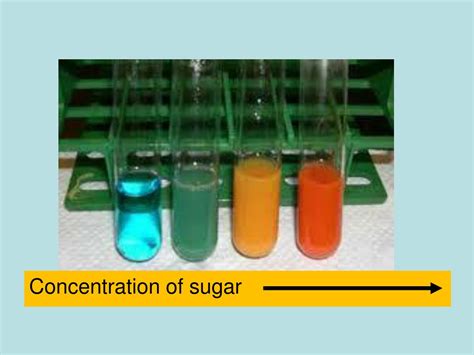 Ppt Testing For Reducing Sugars Benedicts Test Powerpoint