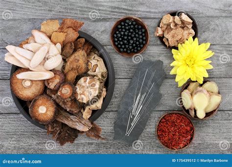 Traditional Chinese Herbal Medicine With Acupuncture Needles Stock