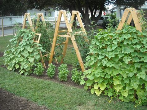 This easy diy garden trellis is also great for beans, peas, and tomatoes. Trellis Design, Summer Garden Update The Year Round ...
