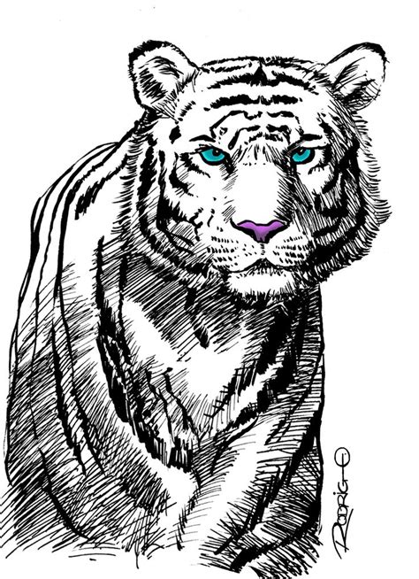 White Tiger By Rodrigodiazaravena On Deviantart White Tiger Tiger