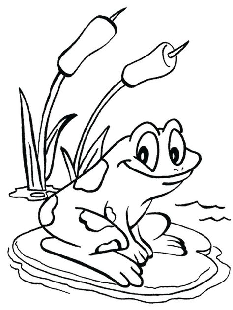 Cute Frog Coloring Pages At Free Printable Colorings