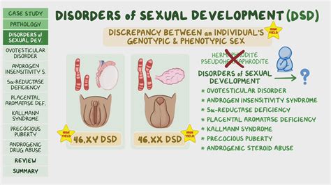 Disorders Of Sexual Development And Sex Hormones Pathology Review Osmosis