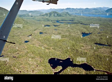 An Aerial View Of Boggy Waterlogged Marshlands And Mountains In The