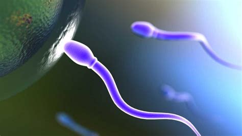 آزمایش شمارش تعداد اسپرم چیست درمانکده