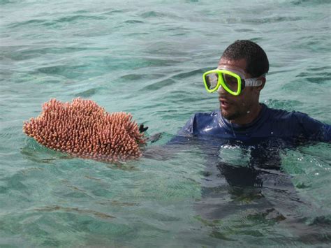 Coral Farming In The Solomon Islands Part 5 Pacific East Aquaculture