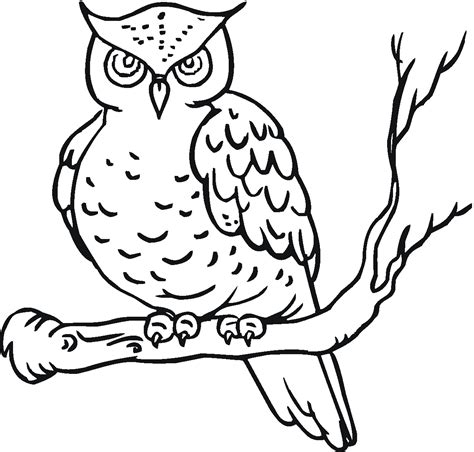 Free Printable Owl Coloring Page For Kids Owl Coloring Page Coloring