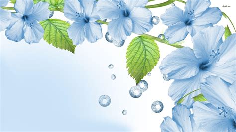 Pretty Blue Spring Flowers Wallpapers Wallpaper Cave