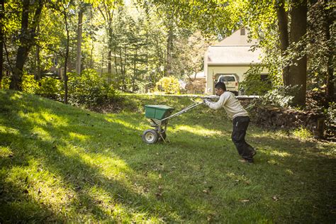 I have a few horror stories i could relate about the organization but they pertain more to their tree and shrub care operations rather than to lawns. 6 Common Hassles of DIY Lawn Care - Why You Might Want to Hire a Professional