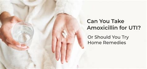 Can You Use Amoxicillin For Uti Or Should You Try Home Remedies