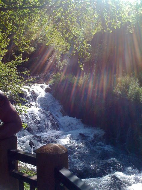 Book a cabin in south dakota The Black Hills, South Dakota (With images) | Camping ...