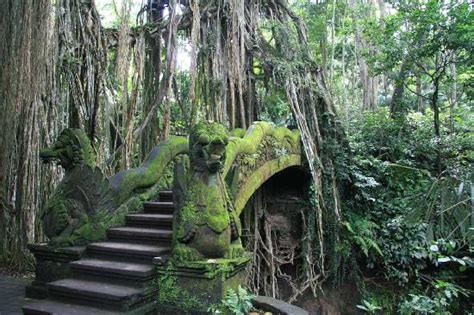 Moneky Forest Temple Picture Of Alam Indah Bali Tripadvisor