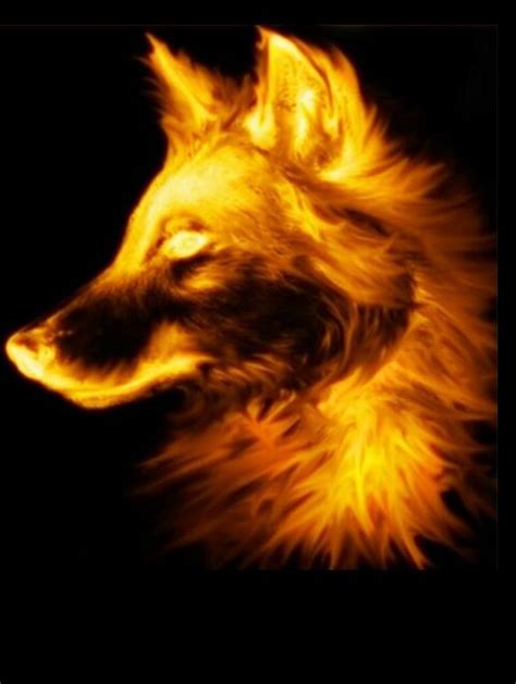 Fire Wolf 💜 Fire Wolf Wolf Art Wolf Photos