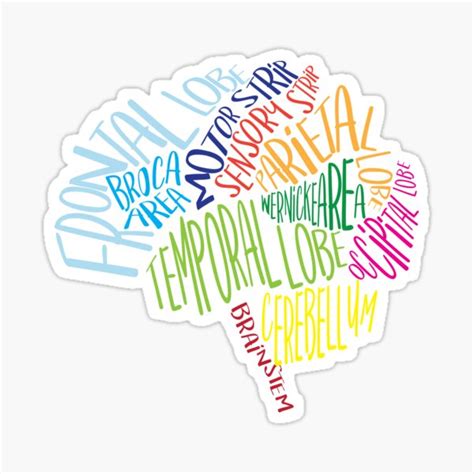 Brain Typography Word Bubble Rn Neuroscience Nurse Neurologist