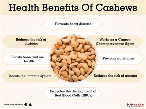 Cashew Benefits Pikolui