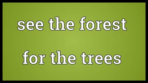 See The Forest For The Trees Meaning Youtube