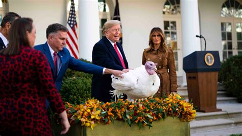 in white house turkey ceremony president s impeachment jokes hit close to the bone the new