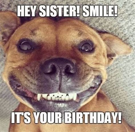 91 Happy Birthday Sister Memes Happy Birthday Sister Quotes Happy