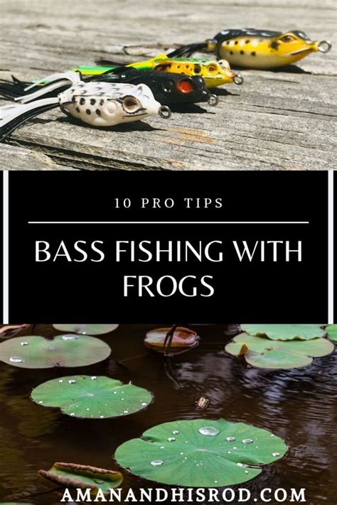 Bass Fishing With Frogs How To Catch Bass Like The Pros A Man And His Rod