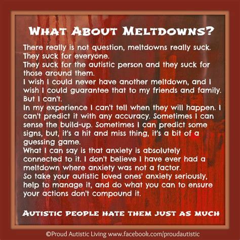Autism What Is A Meltdown Inclusion Education And Learning Resources