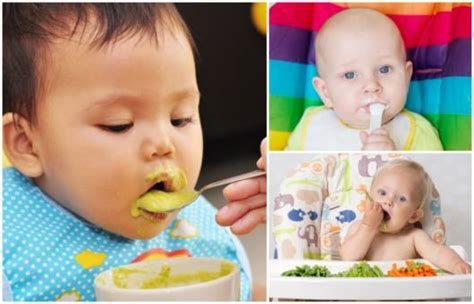 Cardápio Para Bebê De 6 Meses 12 Dicas Para A Alimentação Do Bebê