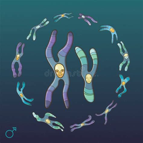 Cute Chromosome Stock Illustrations 325 Cute Chromosome Stock Illustrations Vectors And Clipart