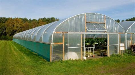 13 Benefits Of Owning A Hoop House You Will Love No 11 Simplify