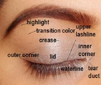 It's colorful, it's textural, it's tactile and it's transformative. How to Apply Eyeshadow Correctly - Paperblog