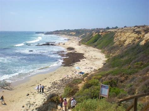Crystal Cove State Park Laguna Beach 2021 All You Need To Know